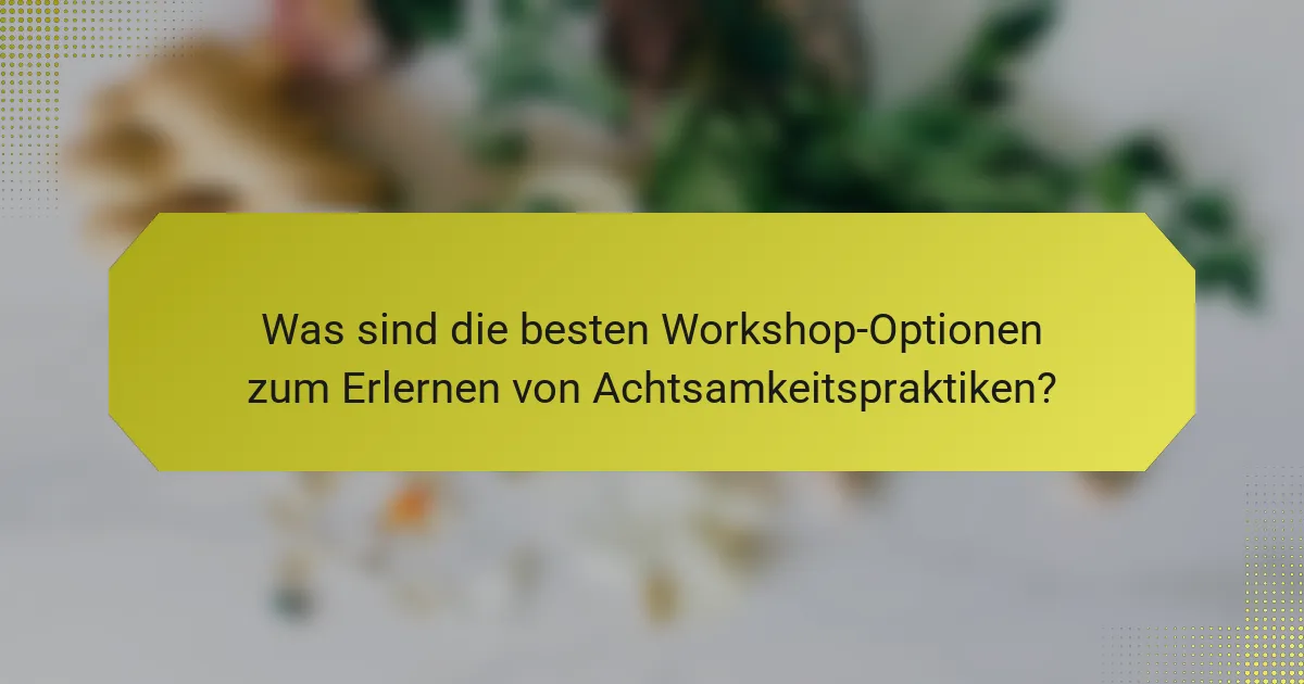 Was sind die besten Workshop-Optionen zum Erlernen von Achtsamkeitspraktiken?