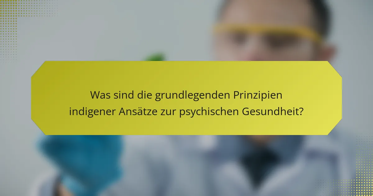 Was sind die grundlegenden Prinzipien indigener Ansätze zur psychischen Gesundheit?