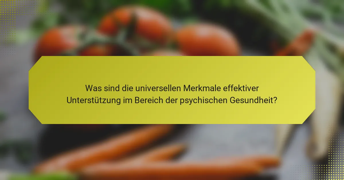 Was sind die universellen Merkmale effektiver Unterstützung im Bereich der psychischen Gesundheit?