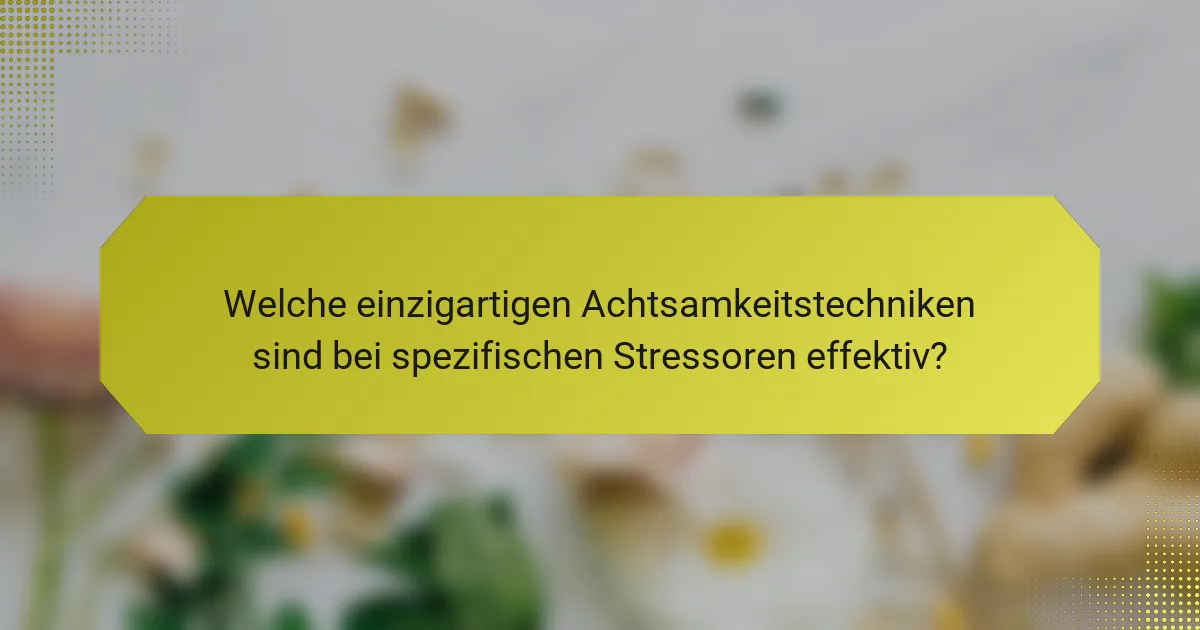 Welche einzigartigen Achtsamkeitstechniken sind bei spezifischen Stressoren effektiv?