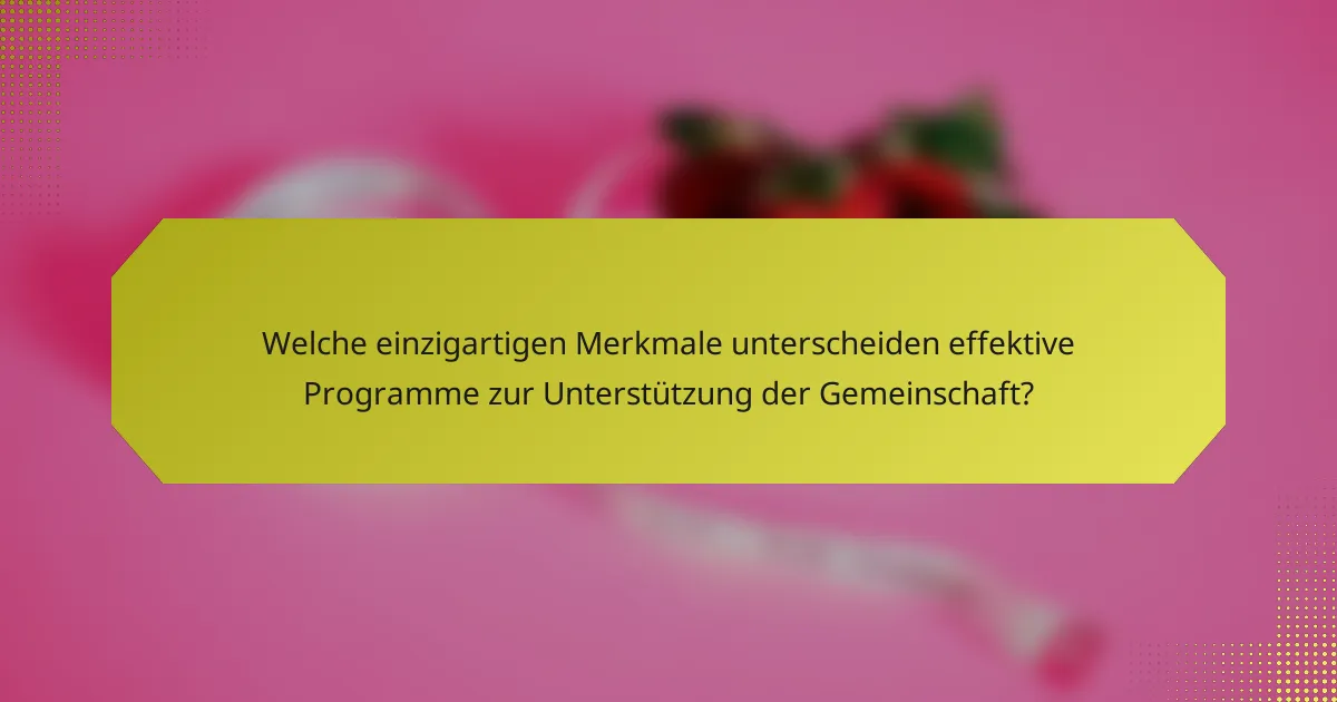 Welche einzigartigen Merkmale unterscheiden effektive Programme zur Unterstützung der Gemeinschaft?
