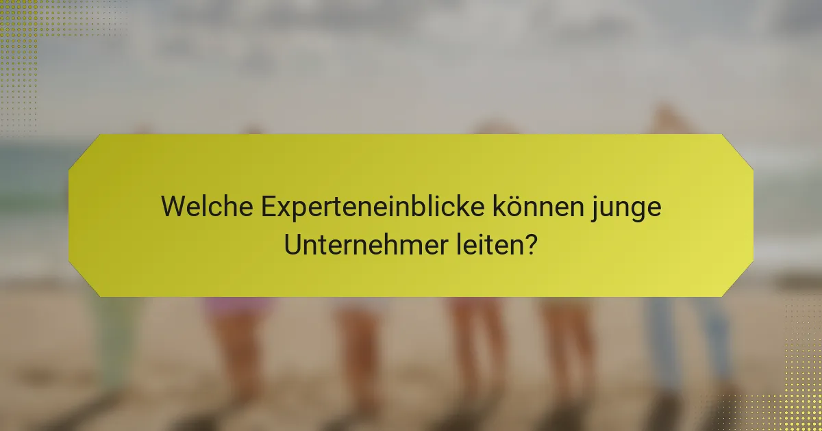 Welche Experteneinblicke können junge Unternehmer leiten?