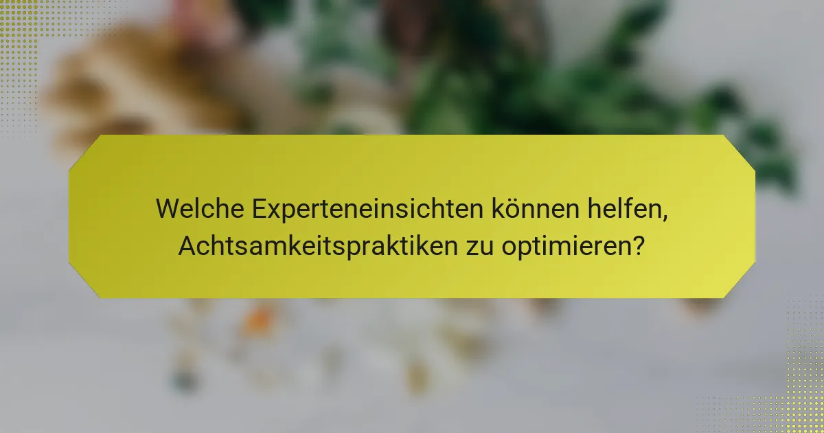 Welche Experteneinsichten können helfen, Achtsamkeitspraktiken zu optimieren?
