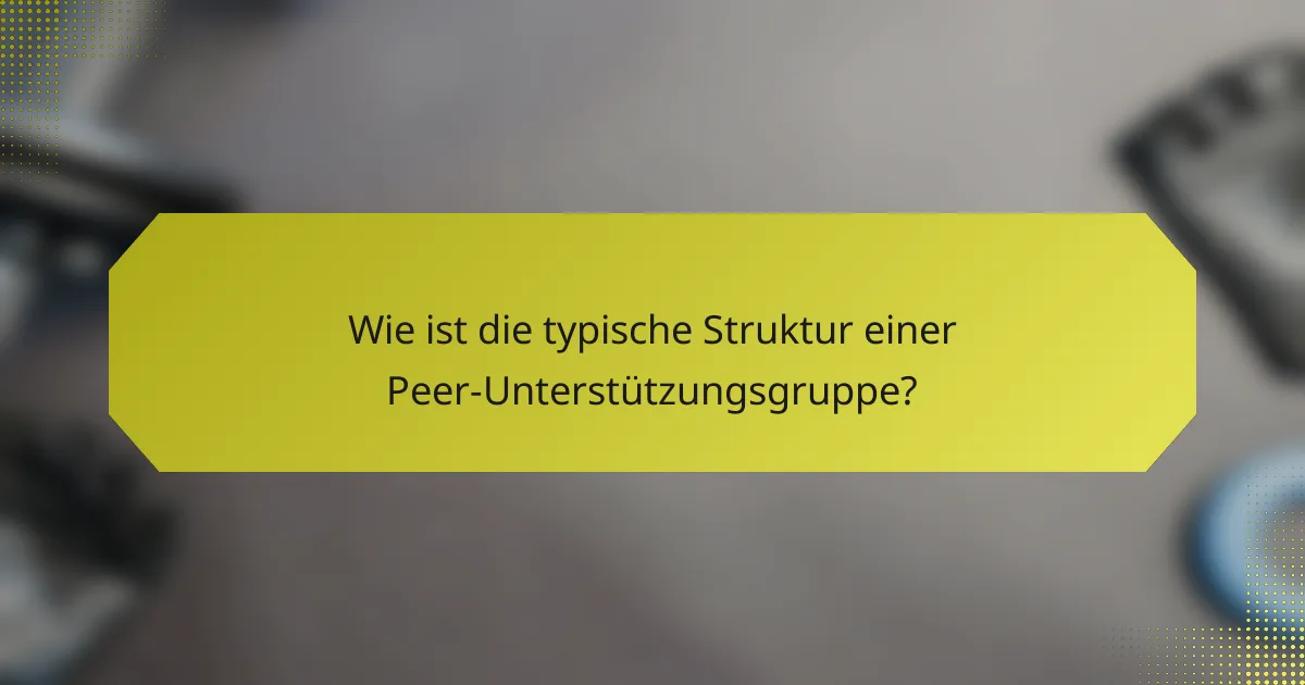 Wie ist die typische Struktur einer Peer-Unterstützungsgruppe?